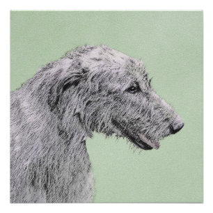 Póster Pintura de lobo irlandesa - Arte de perro original