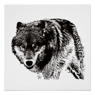 Póster Pintura de Lobo Salvaje en blanco y negro