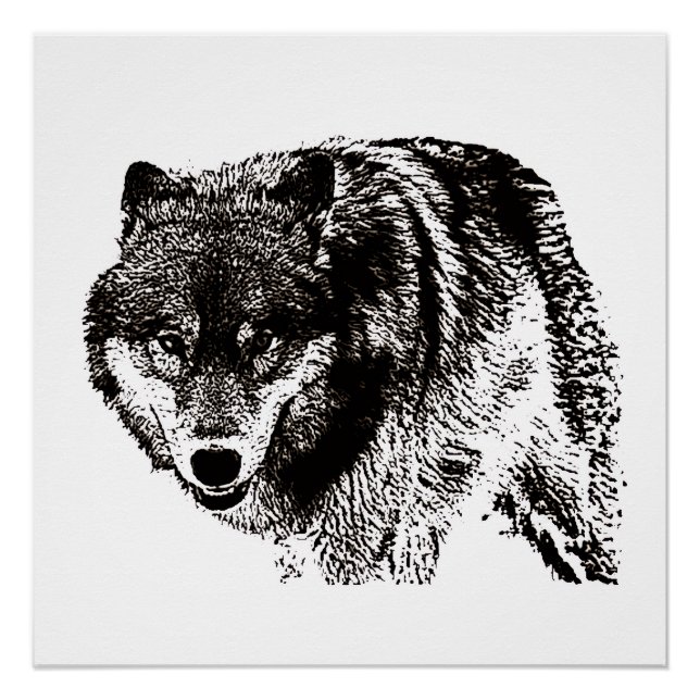 Póster Pintura de Lobo Salvaje en blanco y negro (Anverso)