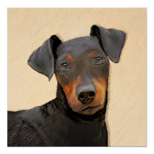 Póster Pintura de Manchester Terrier Arte Animal Original