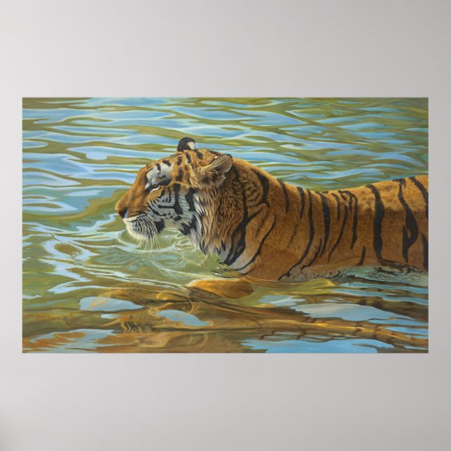 Póster Pintura de natación de tigres - (Frente)