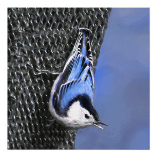 Póster Pintura de nueces de paja blanca original arte de
