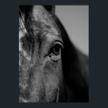 Póster Pintura de ojos de caballo en blanco y negro<br><div class="desc">Arte de Cabeza de Caballo - Cara de caballo - Fotografía de arte animal moderno</div>