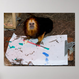 Póster Pintura De oro-Dirigida del Tamarin del león