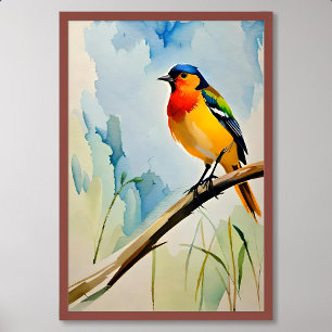 Póster Pintura de pájaro del elegante pájaro colorido en