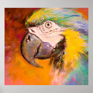 Póster Pintura de Parrot Pastel colorido