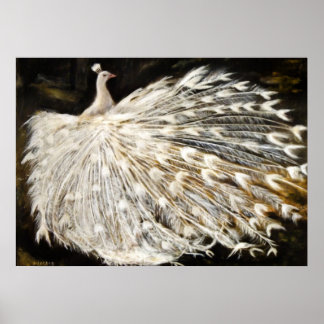 Póster Pintura de pavo real blanco