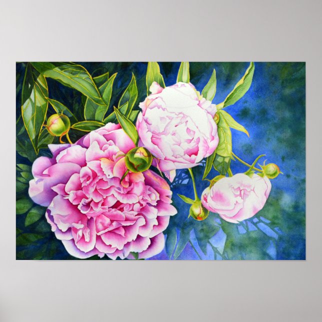 Póster Pintura de peñón blanco rosa | floral romántica (Frente)