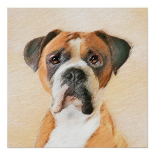 Póster Pintura De Perro Boxer Sin Recortar Arte Animal Or