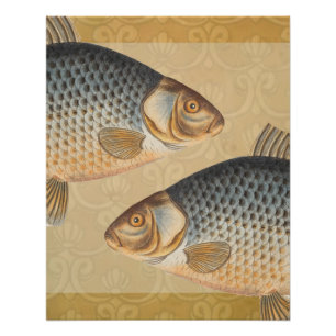 Póster pintura de pesca de carpa dibujo de agua dulce