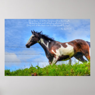 Póster Pintura de Pinto y Rancho de nubes caballo con fot