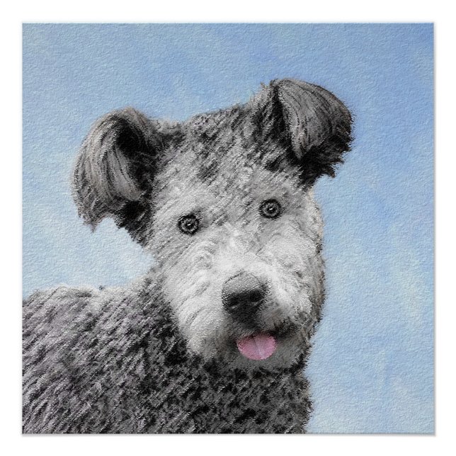 Póster Pintura de Pumi - Arte de Perro Original. (Anverso)