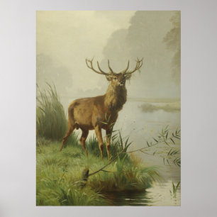 Póster Pintura de Red Deer