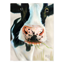 Pintura de retrato de vaca blanco y negro