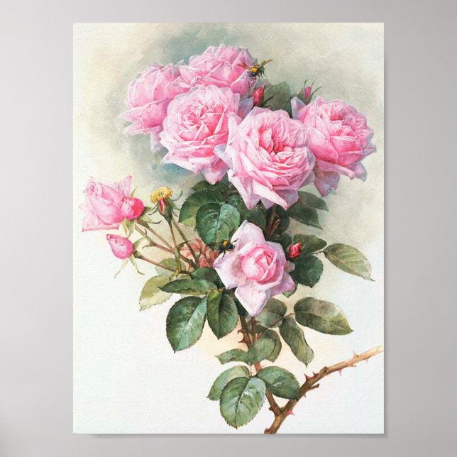 Póster Pintura de rosas rosadas vintage (Frente)