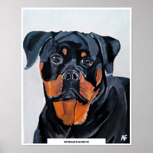 Póster Pintura de Rottweiler de Alfred Fox