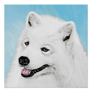 Póster Pintura de Samoyedo - Arte de Perro Original Lindo
