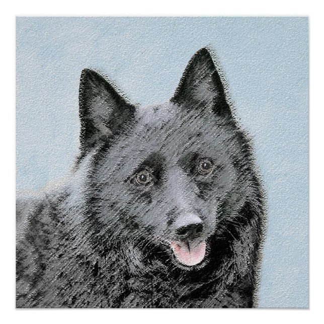 Póster Pintura de Schipperke - Arte Perro Original Cuto (Anverso)