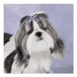 Póster Pintura de Shih Tzu - Arte de perro original lindo
