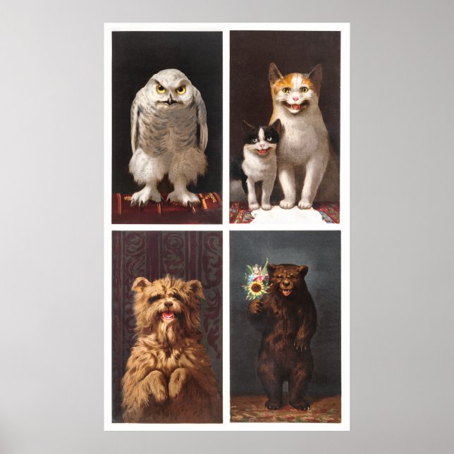 Póster Pintura de tarjetas de animales (Frente)