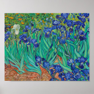 Póster Pintura de Van Gogh Irises