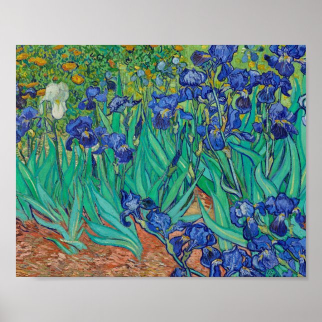 Póster Pintura de Van Gogh Irises (Frente)