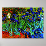 Póster Pintura de Van Gogh, irlandeses,<br><div class="desc">El famoso cuadro floral de Vincent van Gogh,  Irises.</div>