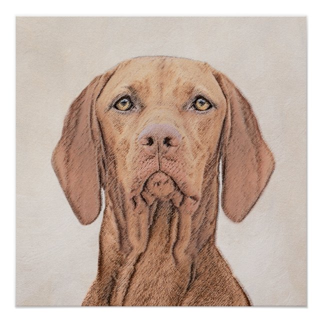 Póster Pintura de Vizsla - Arte Perro Original. (Anverso)