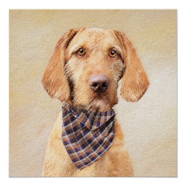 Póster Pintura de Vizsla con cabello alambrado - Arte Per (Anverso)