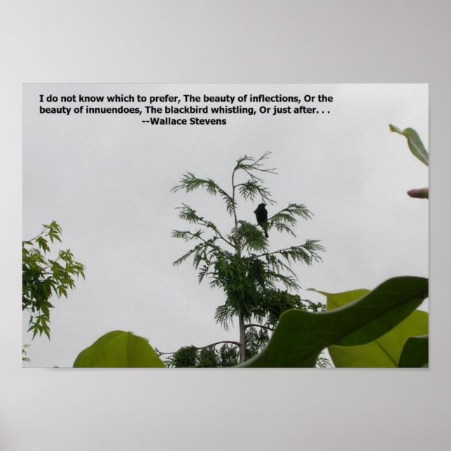 Póster Pintura de voz (Frente)