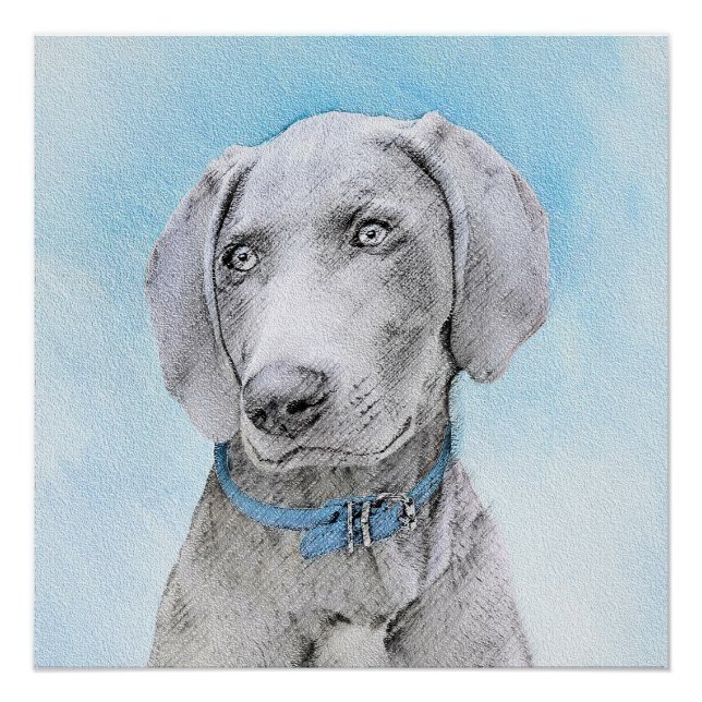 Póster Pintura de Weimaraner - Arte de Perro Original. (Anverso)