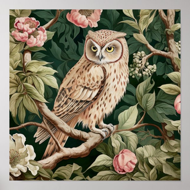 Póster Pintura decorativa de búho (Frente)