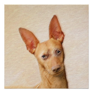 Póster Pintura del Cirneco dell’Etna - Arte de perro orig