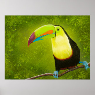 Póster Pintura digital jungla tropical pájaro táctil