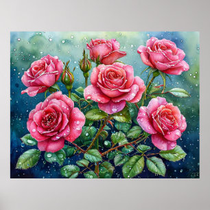 Póster Pintura en acuarela de rosas rosadas con gotas de 