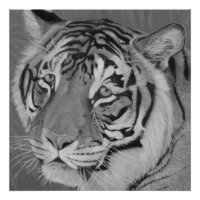 pintura en blanco y negro de gato grande de la vid