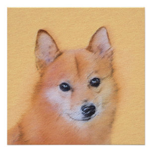 Póster Pintura finlandesa de Spitz - Arte de perro origin
