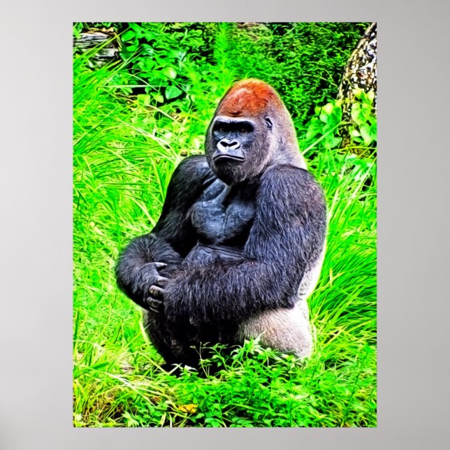 Póster Pintura fotográfica de gorila de Silverback (Frente)