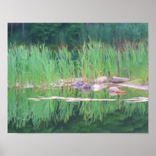 Póster Pintura fotográfica de las reflexiones de estanque