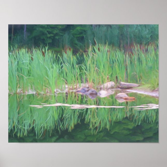 Póster Pintura fotográfica de las reflexiones de estanque (Frente)