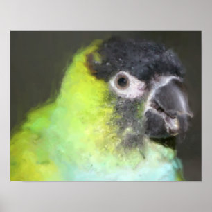 Póster Pintura fotográfica de loro de Nanday Conure