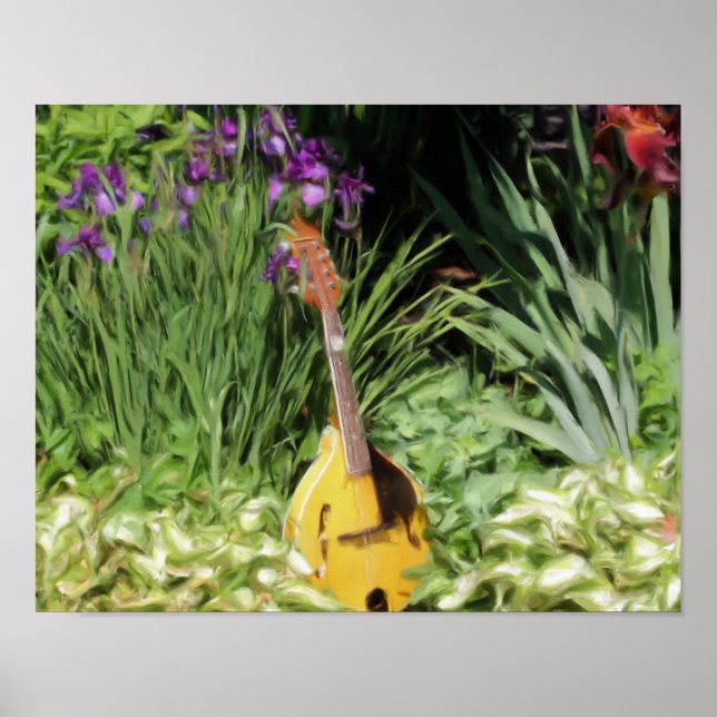 Póster Pintura fotográfica de Mandolin Iris Flower Garden (Frente)