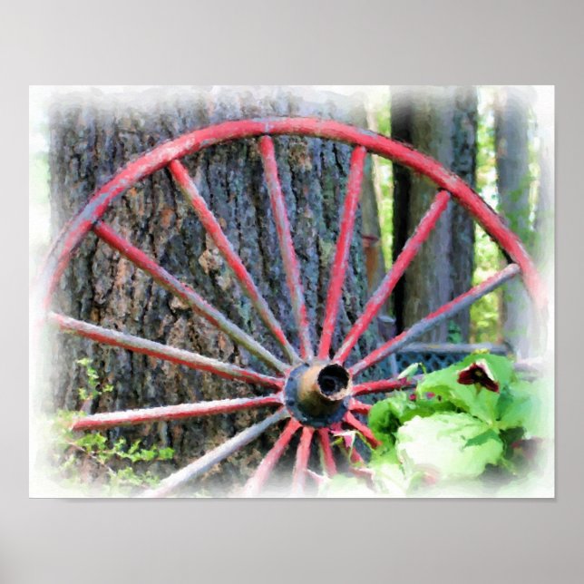 Póster Pintura fotográfica del jardín de la flor de la ru (Frente)