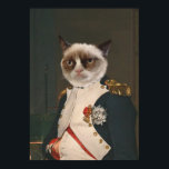 Póster Pintura Grumpy Cat Classic<br><div class="desc">Pintura Grumpy Cat Classic</div>