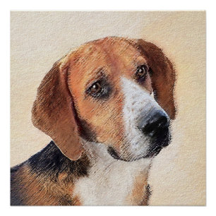Póster Pintura Harrier - Arte Perro Original Cuto