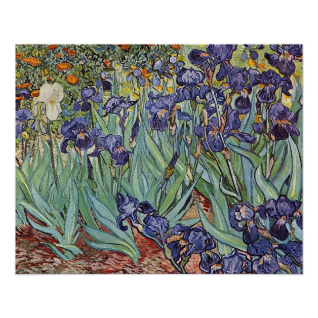 Póster Pintura impresionista de Van Gogh Irises (Anverso)