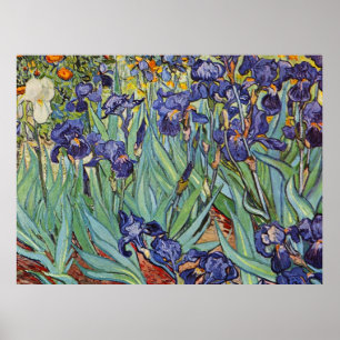 Póster Pintura impresionista de Van Gogh Irises