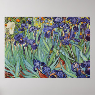 Póster Pintura impresionista de Van Gogh Irises