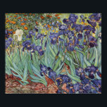 Póster Pintura impresionista de Van Gogh Irises<br><div class="desc">Vincent Van Gogh Irises en Saint Remy - Irises de Vincent Van Gogh es un maravilloso cuadro impresionista de uno de los principales artistas impresionistas de todos los tiempos. El jardín del iris está lleno de color y emoción, a medida que los iris morados salen de sus tallos y hojas...</div>