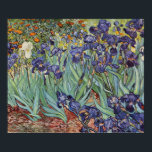 Póster Pintura impresionista de Van Gogh Irises<br><div class="desc">Vincent Van Gogh Irises en Saint Remy - Irises de Vincent Van Gogh es un maravilloso cuadro impresionista de uno de los principales artistas impresionistas de todos los tiempos. El jardín del iris está lleno de color y emoción, a medida que los iris morados salen de sus tallos y hojas...</div>